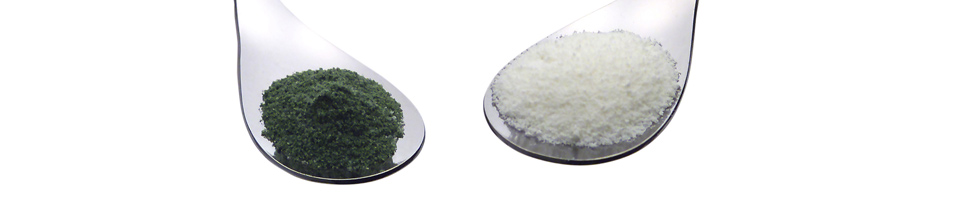 さかい調剤薬局サイトマップイメージ