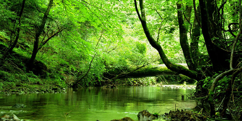 セイリュウメディカル清流イメージ